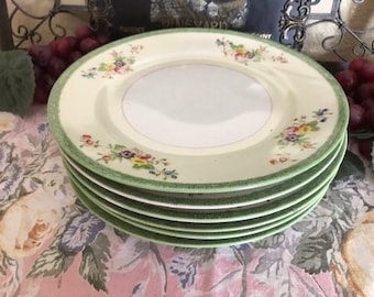 Set of 6 Plates Hand Painted China  Made in Japan UCAGCO Green Border