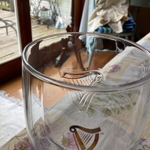 May include: A clear glass with the Guinness logo, featuring a harp design, is visible. The glass is partially filled and sits on a floral patterned tablecloth. The background includes a window and outdoor scenery.