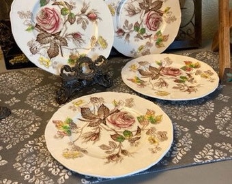 Set of Four 8 Inch Dessert or Salad Plates Alfred Meakin England Rosalie Plates