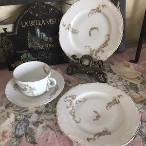 Vintage Shabby Chic Collection of China Vienna Austria Hand Painted