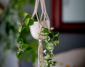 Ceramic Planter - Macrame Hanging Planter - Succulent Planter - Ceramic Hanging Planter - Plant Hanger - Air Plant Holder - Macrame