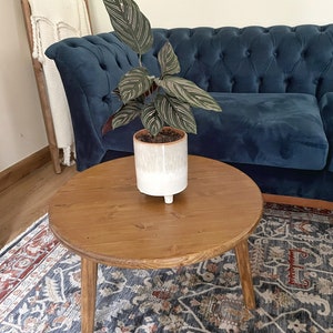 May include: A round wooden coffee table with a white ceramic planter and a green houseplant on top. The table is sitting on a patterned rug.