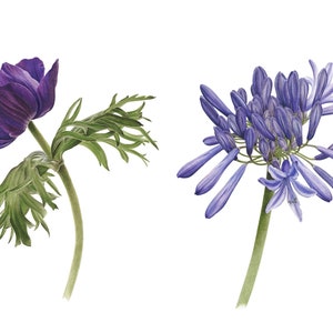 cartões de felicitações de flores