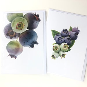 Cartes de voeux aux bleuets (rectangulaires)
