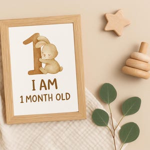 Safari-Baby-Meilensteinkarten | Printable Baby Monatskarten | Neugeborenen Fotorequisite | Baby-Dusche-Geschenk | Sofortdownload | Geschlechtsneutral