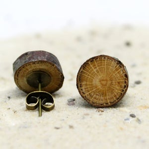 Könnte beinhalten: Ein Paar Holzohrringe mit natürlichem Holzmaserungsmuster. Die Ohrringe sind rund und haben einen Messing-Stift und eine Rückseite.