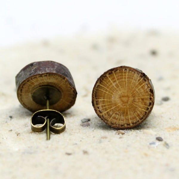 Holzohrstecker -  Astscheiben aus Buchenholz geölt Edelstahlohrstecker Baumscheibe Astscheibe