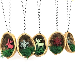 Könnte beinhalten: Fünf handgefertigte Weihnachtsbaumschmuck aus Walnussschalen. Jeder Schmuck ist mit grünem Moos gefüllt und zeigt ein anderes festliches Design: ein rotes Rentier, ein grünes Rentier, eine Schneeflocke, eine rote Schneeflocke und einen grauen Vogel.