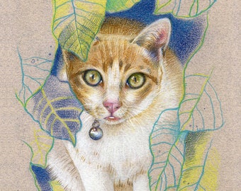 Custom cat portratit from photo drawing with colored pencils, Cat lover gift