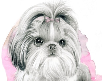 Realistic pet portrait from photo, Custom illustration of your dog drawn with pencil, Mother's day gift