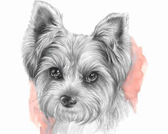 Custom portrait illustration of your pet drawing by hand