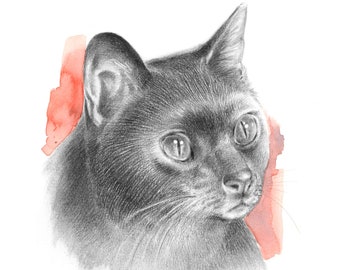 Custom illustration portrait from photo, Portrait of your cat drawn with pencil, Christmas gift