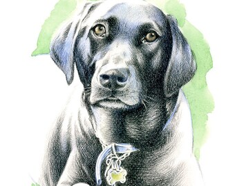 Custom portrait of pet from photograph, Commission pencil drawing for gift, Pet loss art memorial