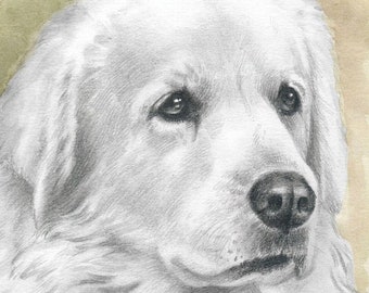 Dog portrait from photo drawn with pencil, Realistic custom pet illustration, Custom dog art for mother's day, Keepsake portrait