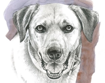 Handmade pet portrait for gift, Personalized illustration of pet made with pencil, Pet loss art memorial