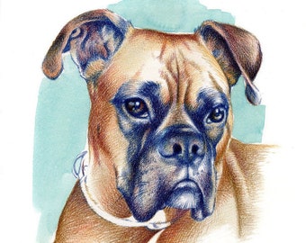 Custom drawing of pet made with colored pencils, Handmade pet portrait for gift, Pet loss art memorial