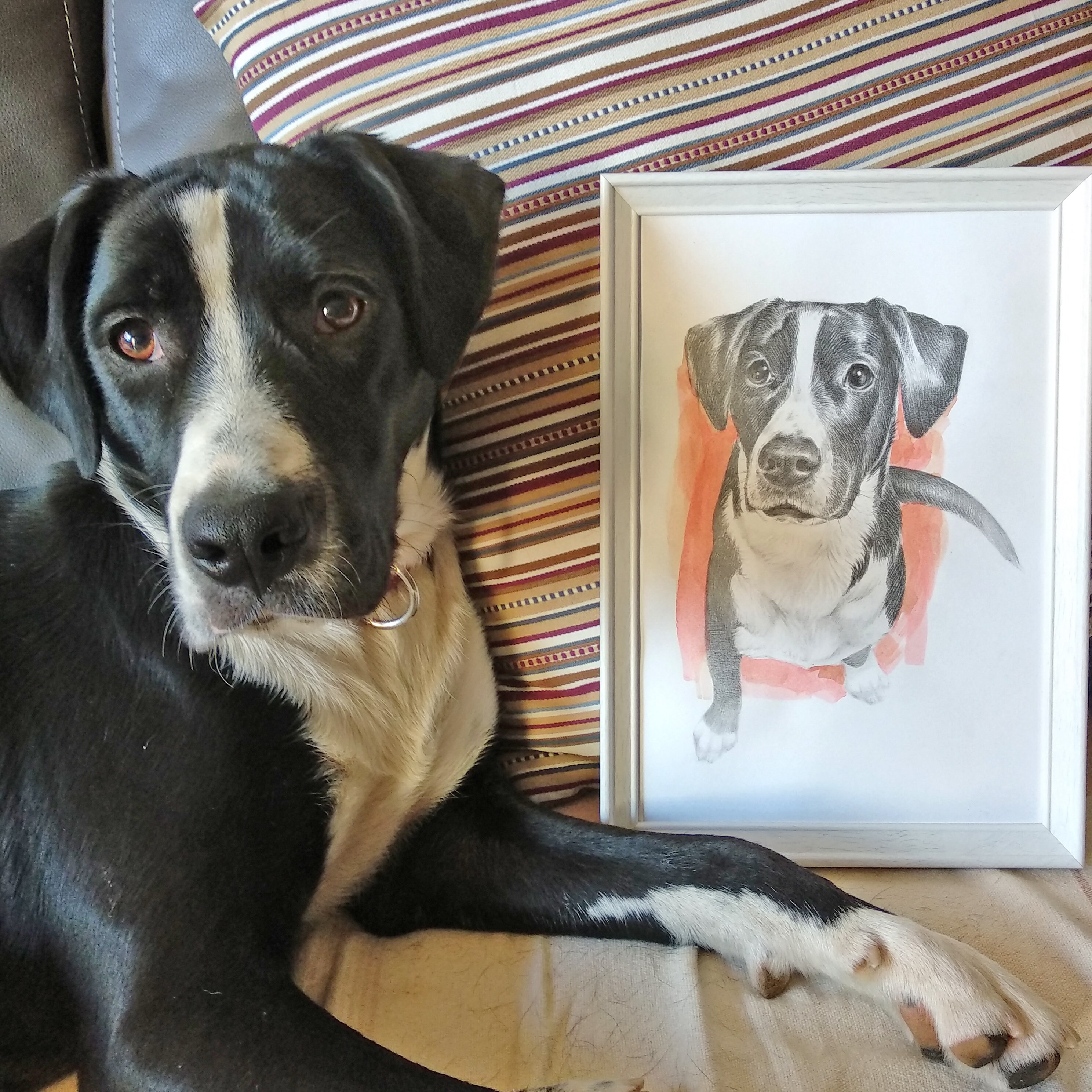 Realistic Pet Portrait From Photo Custom Illustration of Your Etsy