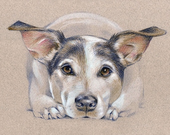 Custom portrait of dog, Pet lover gift, Original artwork from photo, Pet art memorial