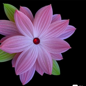 Hair Clip Kanzashi Flower