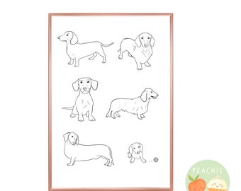 Dachshund Illustration Daxi print Sausage Dog Art