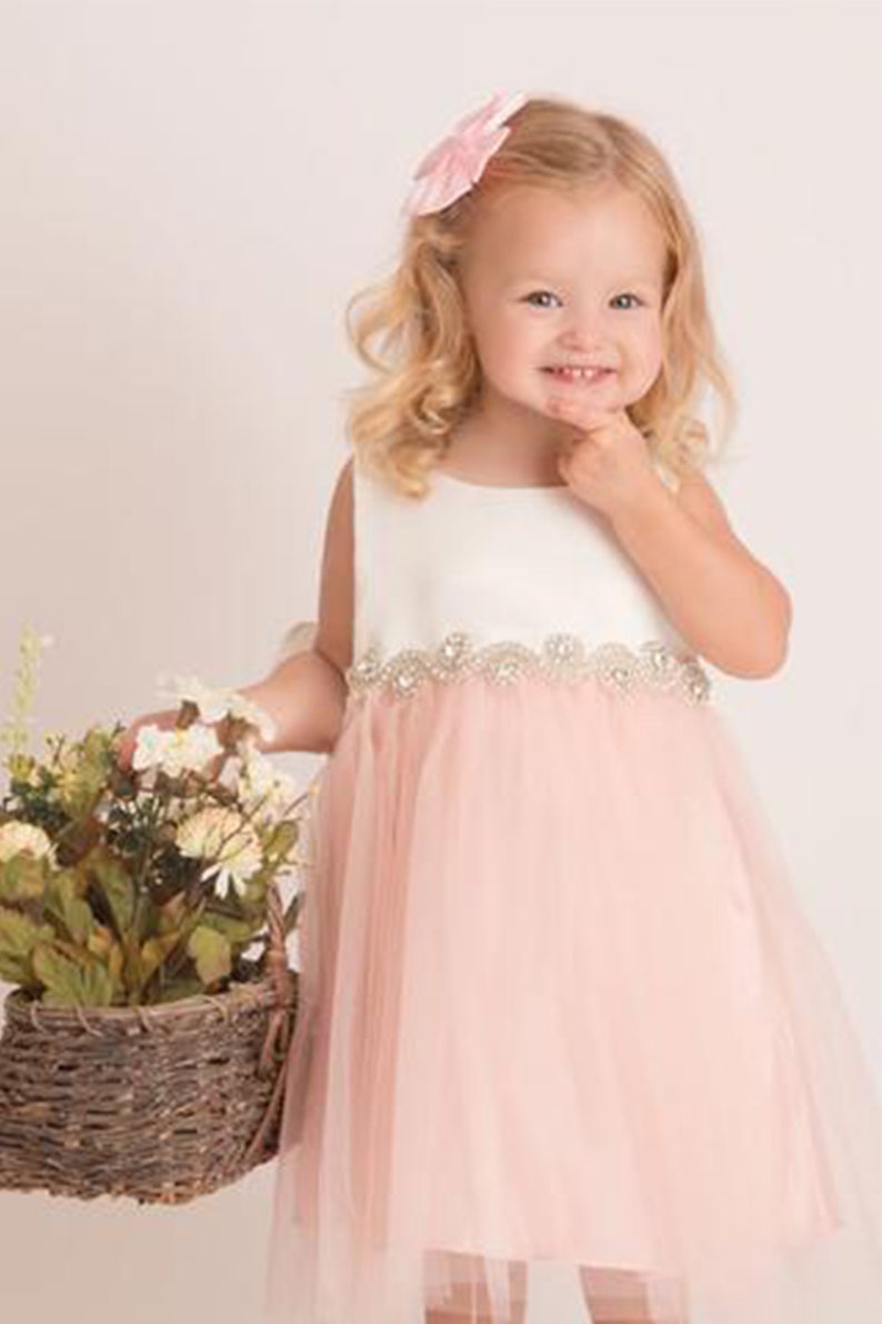 Flower Girl Dress Blush Toddler Flower Girl Dress Tulle Etsy