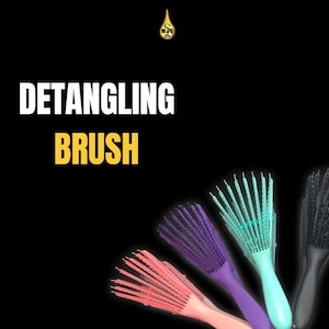 Detangling Brush | Procreate Hair Brush for Knotty Hair | Natural Hair Styling Brush for Curly Hair | Best Detangler Brush for Hair Care