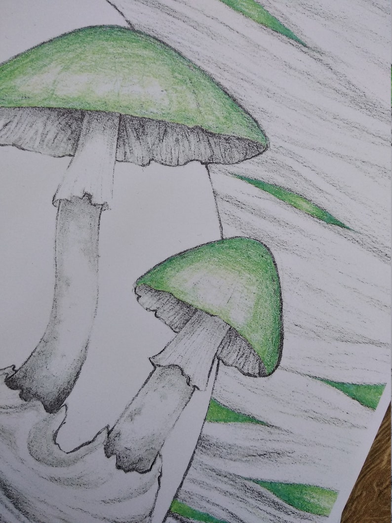 Death cap PRINT 12 x 8 inches 30 x 20 centimetres