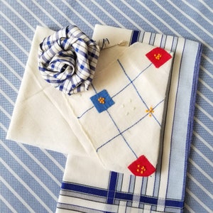 Könnte beinhalten: Ein weißes Taschentuch mit blauen und roten gestickten Blumen. Das Taschentuch ist in der Hälfte gefaltet und hat darunter einen blau-weiß karierten Stoff.