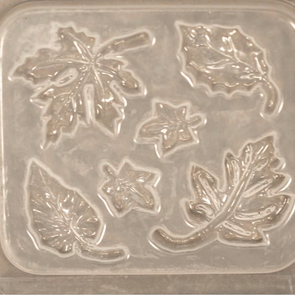 5 Assorted Leaves Resin Mould RM 51657