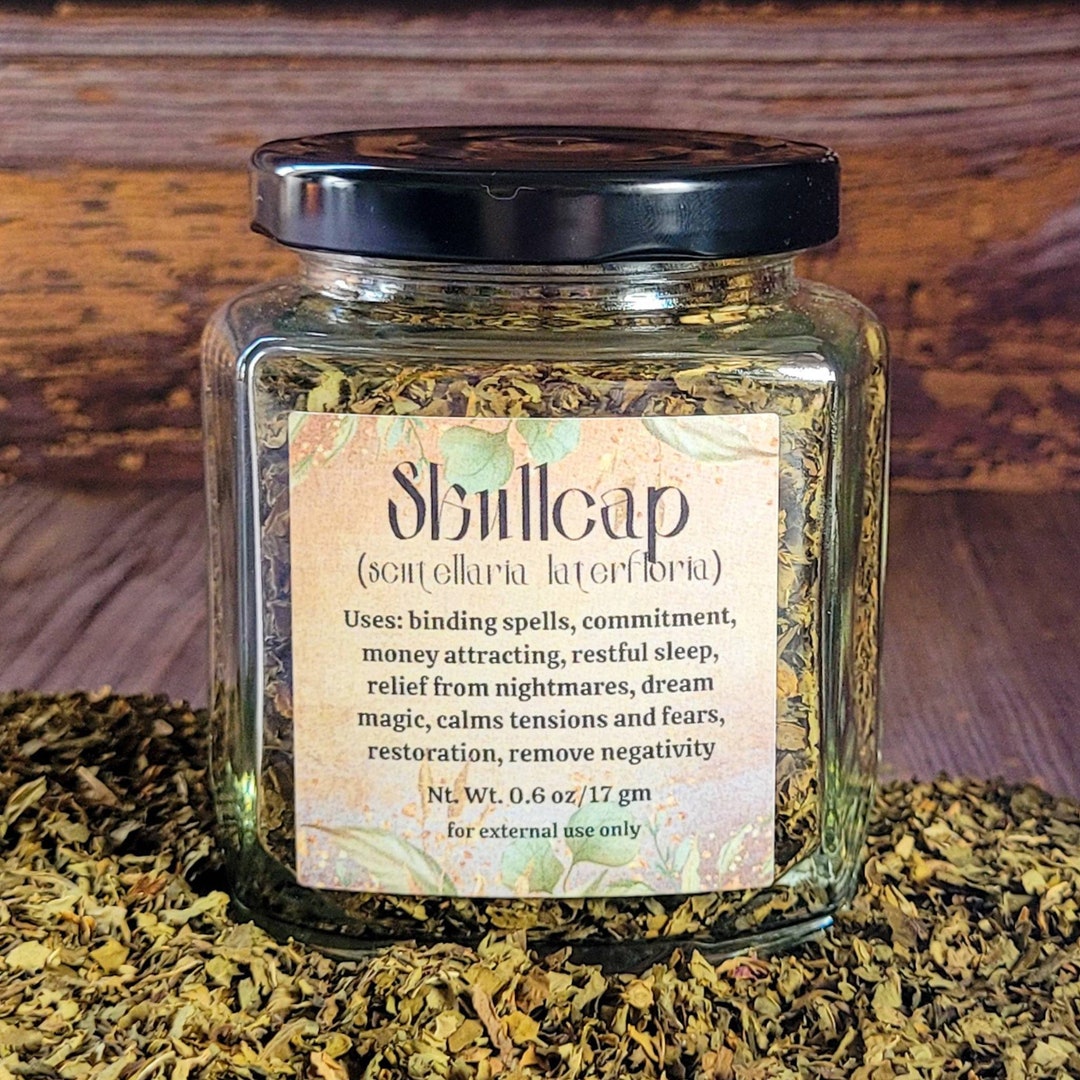 Organic Skullcap Dried Skullcap Apothecary Herb Jars Etsy