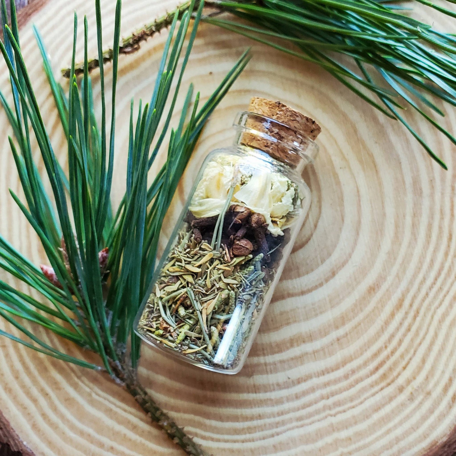 Abundance Spell Bottle Prosperity Mini Herb Bottle Witch Etsy Canada