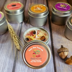 Fall Candle Sample, 2 oz Soy Wax Candle, Choose Your Autumn Scent, Cozy Fall Gift