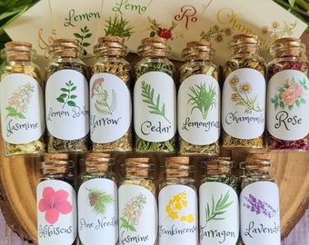 Mini Apothecary Herb Bottles | Dried Herbs for Rituals, Spellwork, Witchcraft