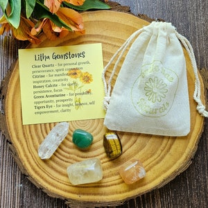 May include: A set of six tumbled gemstones in a small white drawstring bag. The stones are clear quartz, citrine, honey calcite, green aventurine, and tiger's eye. The bag has a green daisy with the text "Little Tree Naturals" printed on it. The stones are arranged on a wooden surface with a yellow background.