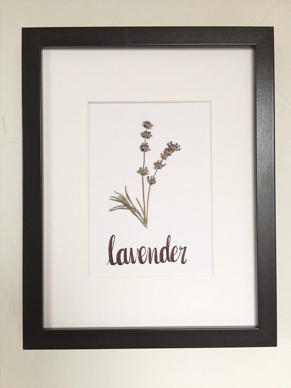 Pressed Lavender Flower Frame | Etsy