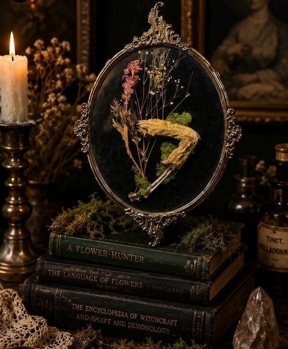 A real coyote paw nestled in pressed florals inside a Victorian shadow box — oddity collecting meets fine craft in one jaw-dropping display piece.