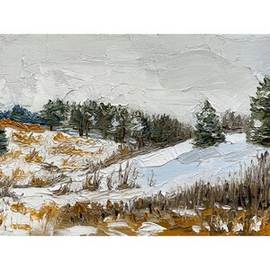 Fresh Snow Horizontal Canvas Print