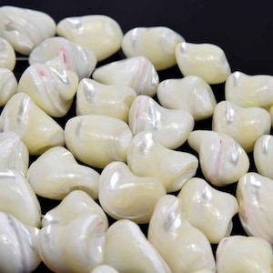 Puede incluir: Una colección de cuentas blancas nacaradas en forma de concha. Las cuentas tienen un acabado liso y pulido y un ligero brillo iridiscente.