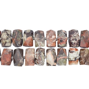 May include: A strand of brown, red, and green jasper beads with a faceted, rectangular shape. The beads are strung on a silver cord.