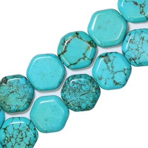 38x36mm High Quality Smooth Blue/Green Hexagon Turquoise Bead Stone Strand (15 Inches)