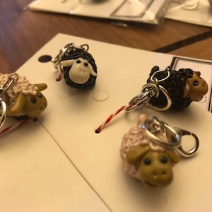 Crazy sheep