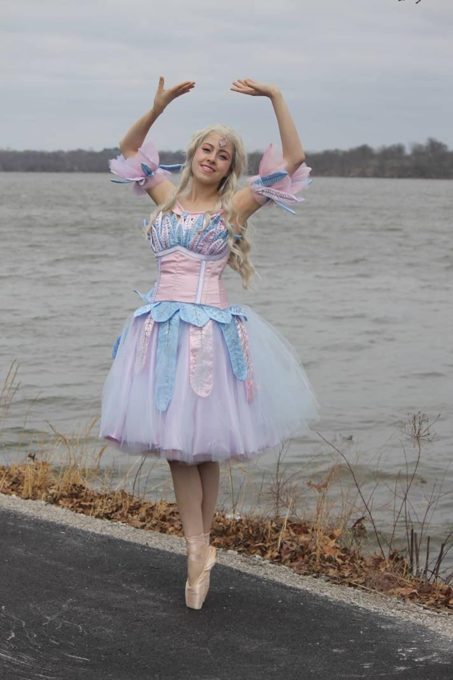 Barbie of Swan Lake Cosplay Costume | Etsy