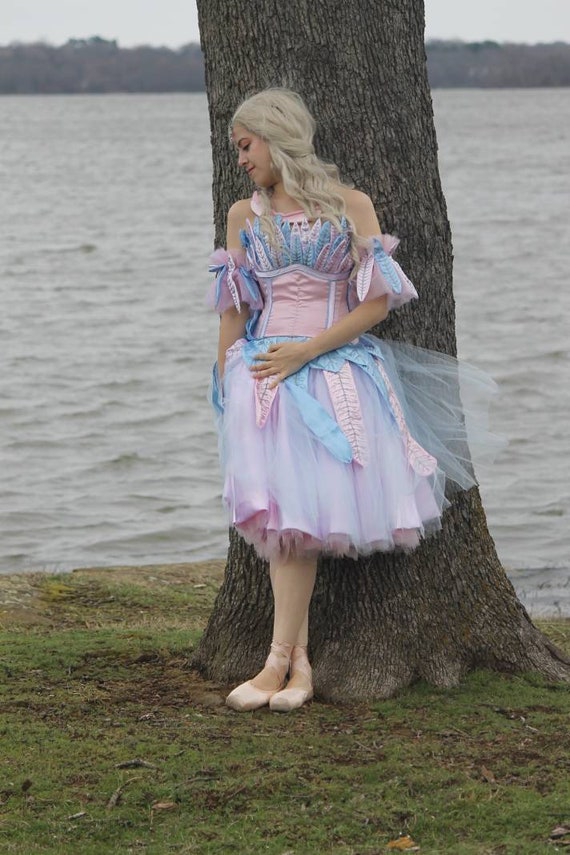 barbie swan lake dress