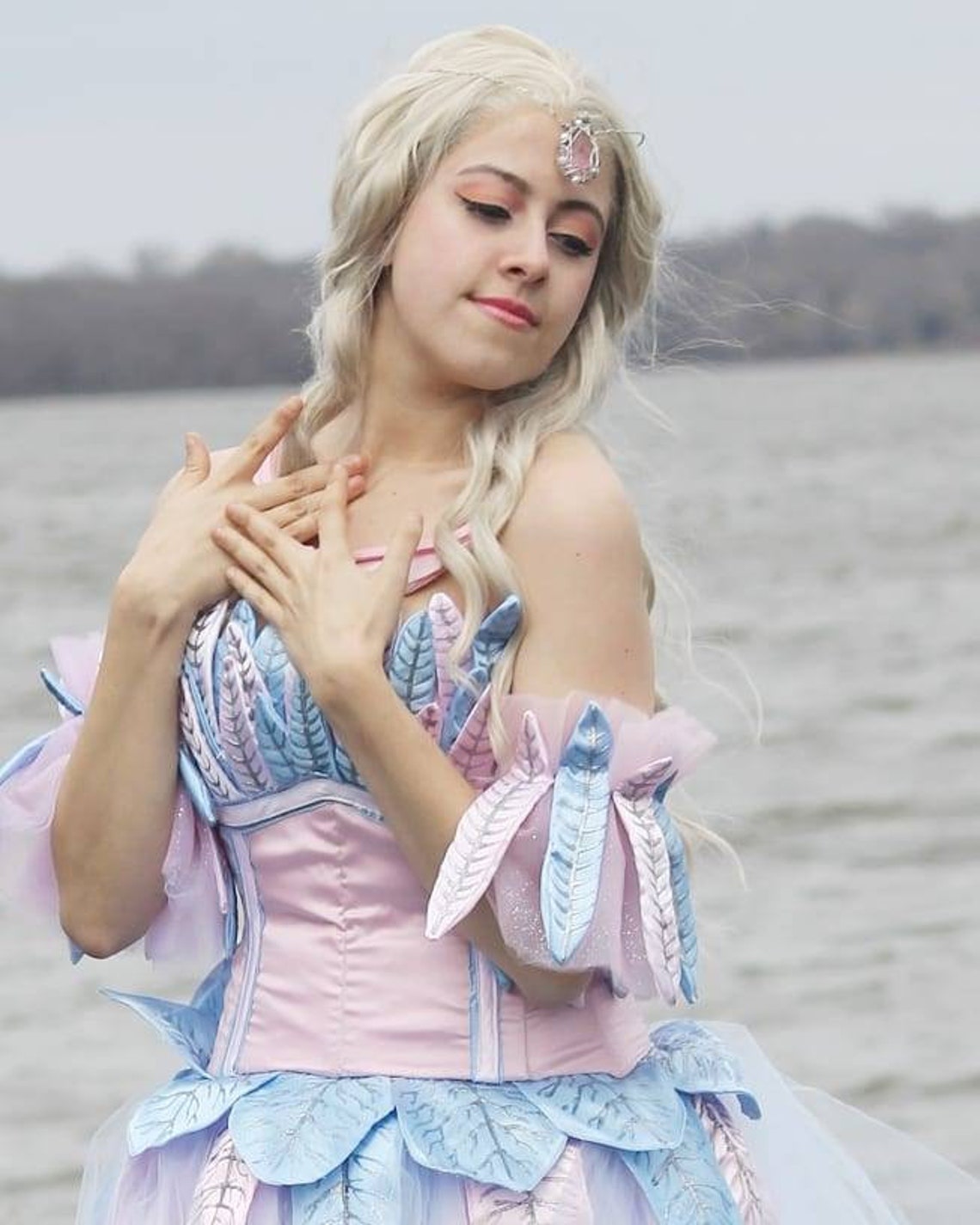 Barbie of Swan Lake Cosplay Costume | Etsy