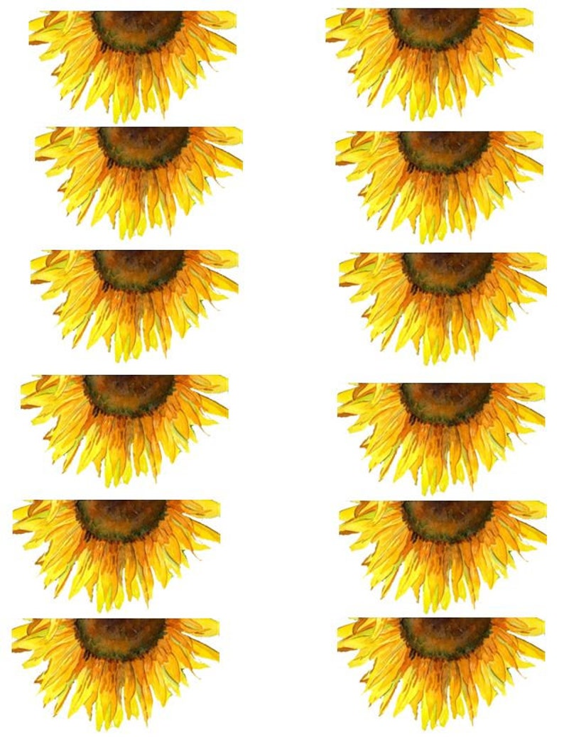 Download Half Sunflowers | Etsy