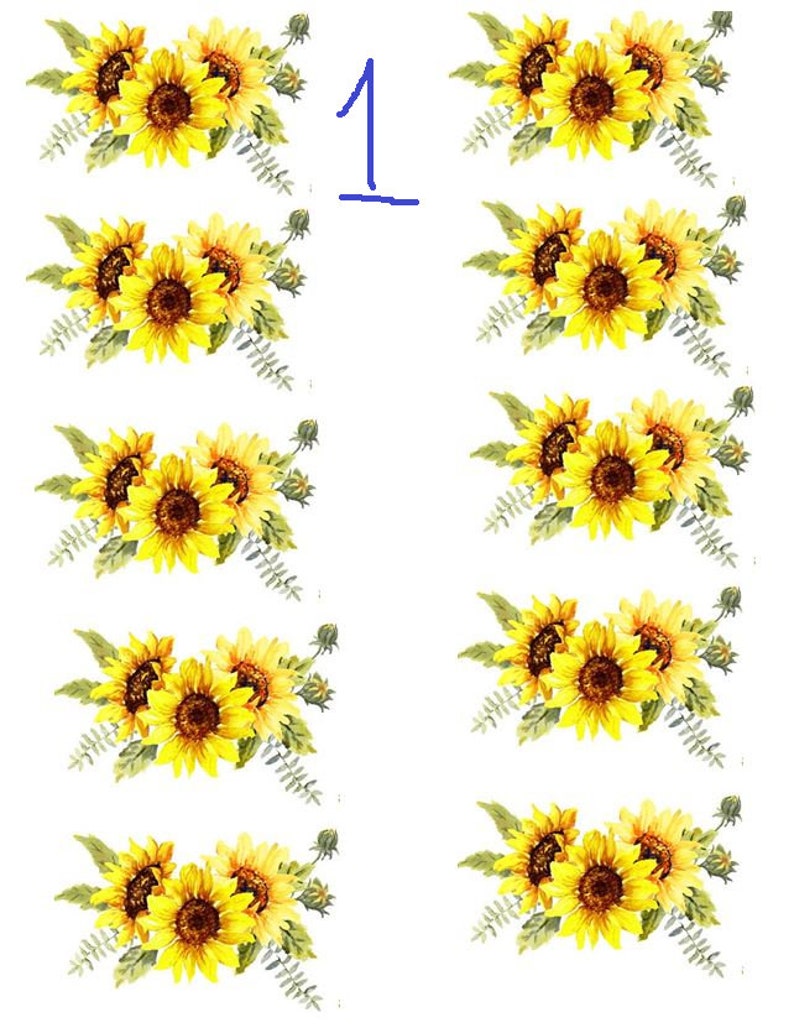 Free Free 279 Realistic Waterslide Sunflower Svg SVG PNG EPS DXF File