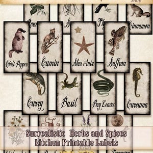 Vintage illustrations animals and plants.  Spice and Herb Labels . Organizing Kitchen . Magic Apothecary .  Scientific  . DIY .  DOWNLOAD