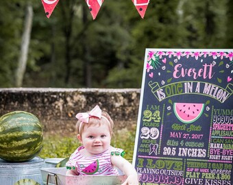 Watermelon Birthday Chalkboard, One in a melon Chalkboard, Watermelon Party Sign, Summer Birthday day, Girls First birthday Chalkboard