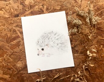 Hedgehog Art - Baby Hedgehog Drawing- Nature Art - Animal Drawing - Colored Pencil Art