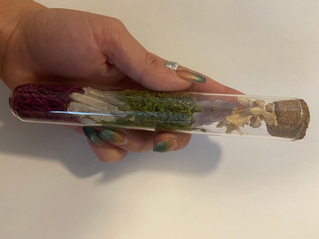 Oddity Crystal Moss Vertebrae Glass Vial Etsy